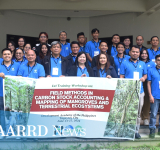Capacity for mangrove and terrestrial carbon stock accounting boosted through DOST-PCAARRD and DENR-ERDB training